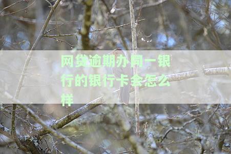 网贷会从同一个银行的新卡扣款吗，网贷是否会从同一银行的新卡中扣款？