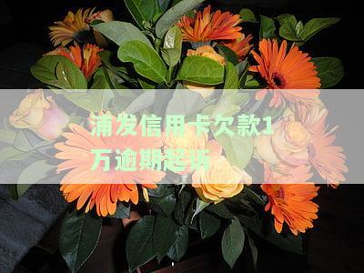 浦发信用卡欠款1万逾期起诉会怎样，逾期未还浦发信用卡1万元，可能面临法律诉讼！