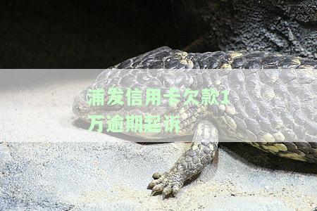 欠浦发信用卡15000,银行现在起诉我怎么办？判决生效后会怎么样？