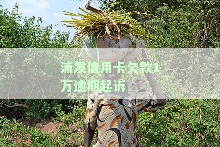 浦发银行欠款1万多被起诉会被刑事拘留吗，浦发银行欠款1万多被起诉是否会面临刑事拘留？