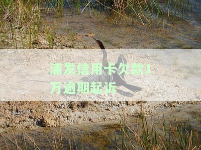 浦发信用卡欠款1万逾期起诉-浦发信用卡欠款1万逾期起诉案例