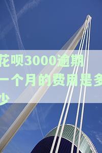 花呗逾期3000块钱几个月不还严不严重，花呗逾期3000元数月未还，严重性如何？
