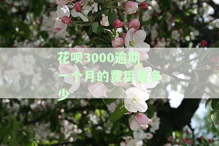 花呗欠款三千多,逾期三个月,算严重吗？可能会有什么后果？