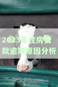2023年住房贷款逾期原因深度分析报告