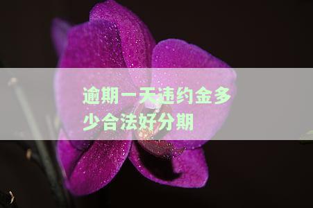 逾期违约金一天一般设多少？最高限额、无效情况及常见数值解析