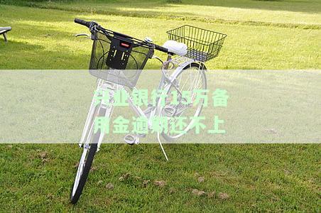 兴业银行备用金逾期了会怎么样，兴业银行备用金逾期后果详解