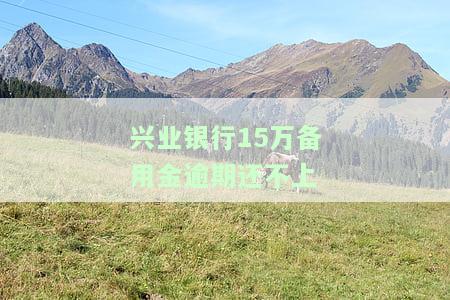 兴业银行备用金不还：会影响征信、无法取消，能否再借？全解析