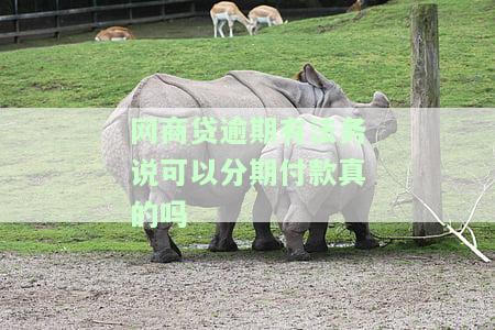 网商贷逾期可以协商还款吗？电话多少？能否期或被起诉？