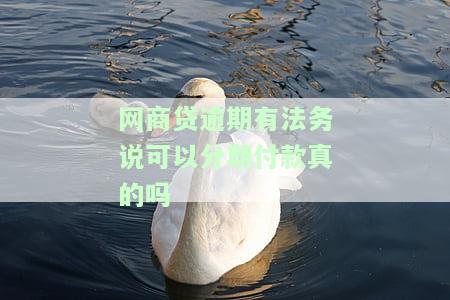 网商贷逾期有法务说可以分期付款真的吗-网商贷逾期几个月交给法务部是什么意思