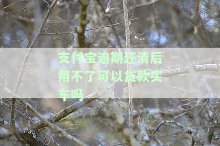 支付宝逾期能做车贷款嘛，支付宝逾期记录是否会影响申请车贷？