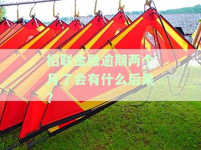 招联金融逾期两个月会被列入黑名单吗，逾期两个月会影响招联金融信用记录吗？可能会被列入黑名单！