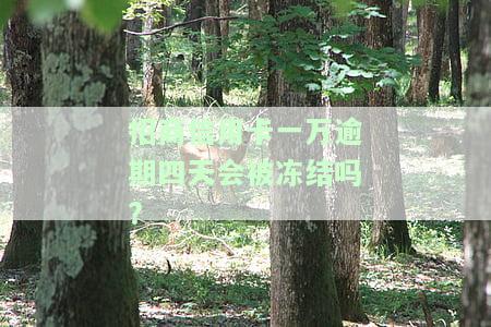 招商信用卡一万逾期四天会被冻结吗怎么办，逾期四天招商信用卡会冻结吗？解决方案在此！