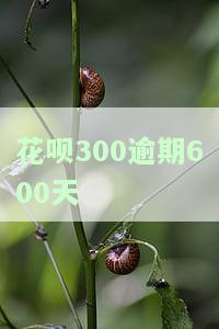 花呗逾期几百块会被起诉吗？解决方案及后果分析