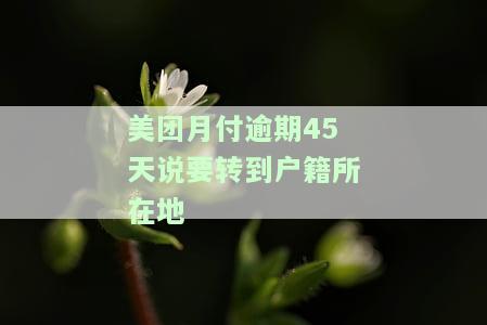 美团月付逾期45天：真的会被转到户所在地吗？