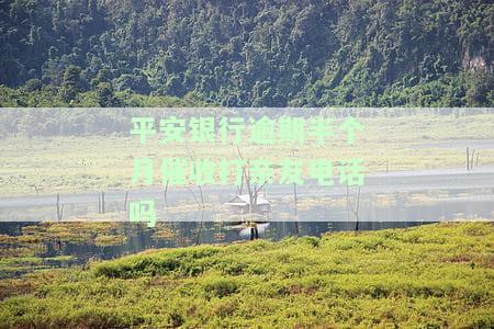 平安银行逾期十几天会打电话给家里人吗？逾期多久会打紧急联系人电话？平安银行真的会通知家人吗？