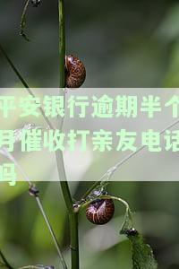 平安逾期10多天就催收，警惕！平安逾期10多天即启动催收机制，及时还款避免影响信用记录