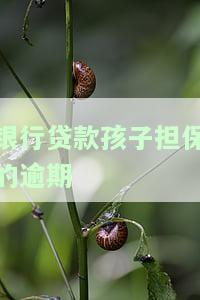 银行贷款孩子担保的逾期