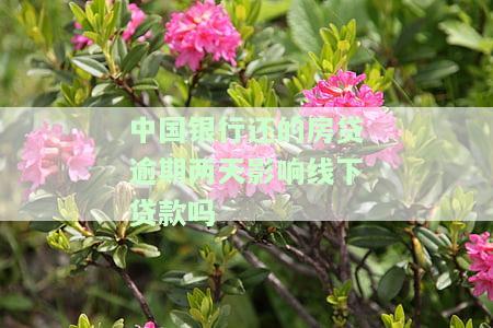 中国银行还的房贷逾期两天影响线下贷款吗-中国银行还的房贷逾期两天影响线下贷款吗