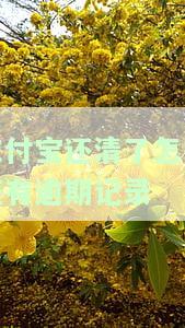 我的支付宝逾期了！现在还清了却用不了，是什么原因？