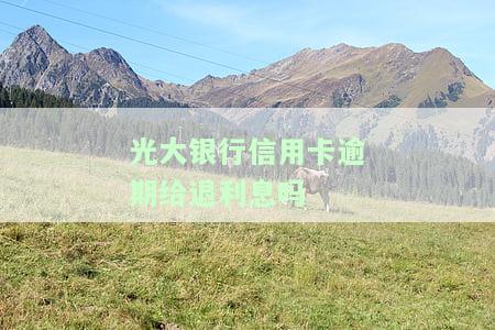 光大银行信用卡逾期给退利息吗怎么办，光大银行信用卡逾期后，如何申请退还利息？
