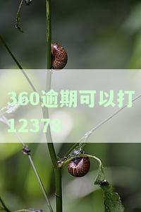 360逾期13天后客服电话说要起诉：事实还是威胁？