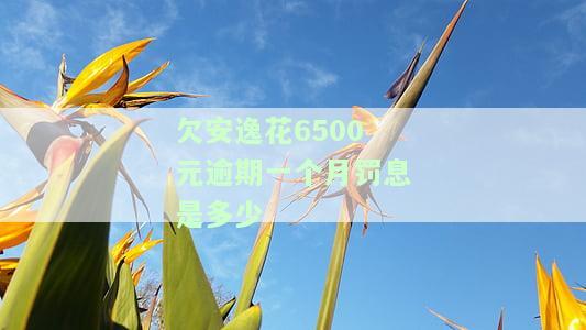 欠安逸花几百块逾期差不多一个月了,会被告吗，欠款几百块逾期近一个月，会面临被起诉的风险吗？