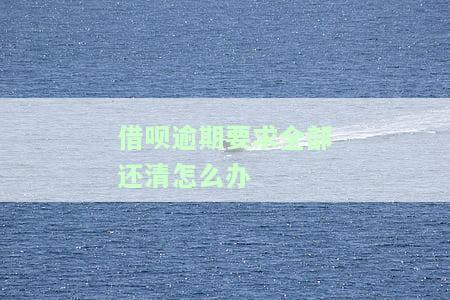 借呗逾期要求全部还清怎么办理，如何应对借呗逾期，要求全部还清的情况？