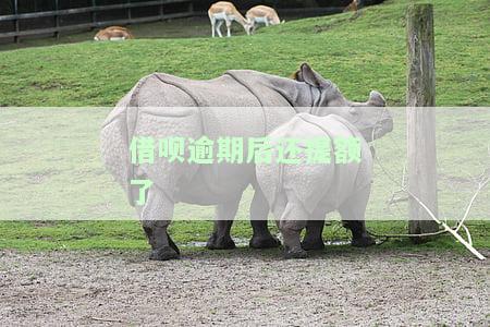 借呗逾期后还提额了会怎么样？额度会恢复吗？逾期后额度会清零或降低吗？逾期导致额度下降如何解决？逾期两天，额度何时能恢复？