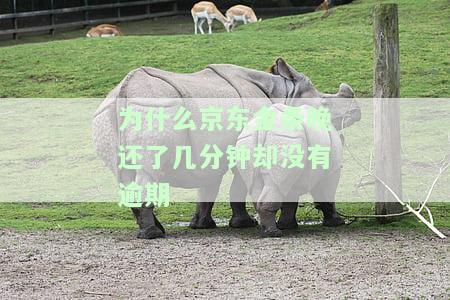为什么京东金条晚还了几分却没有逾期呢，京东金条：晚还款几分却未被算作逾期，原因何在？