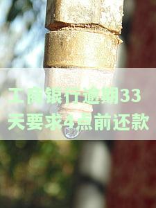 工商银行逾期33天要求4点前还款合法吗，咨询：工商银行逾期33天，要求在4点前还款是否合法？
