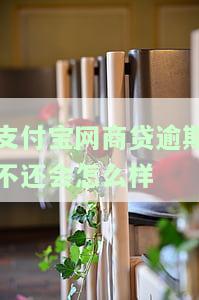 支付宝网商贷逾期多久能恢复使用？影响及解决方法