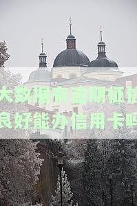 大数据花了没逾期过能否办理信用卡或贷款？