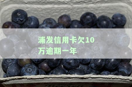 浦发信用卡欠10万逾期一年利息多少？逾期半年、四年未还怎么办？
