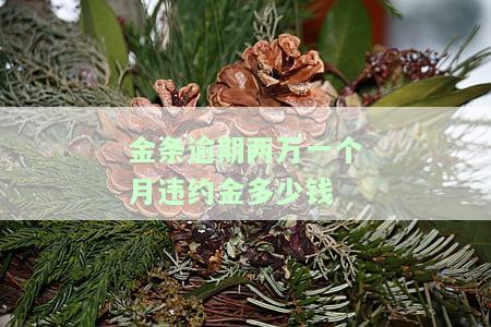 金条逾期2万，警惕！金条逾期2万可能带来的严重后果