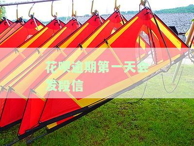 花呗逾期第二天会有电话短信通知吗，花呗逾期后，第二天会收到电话和短信提醒吗？