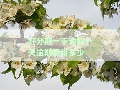 逾期一天会上征信吗，逾期一天是否会影响个人征信记录？