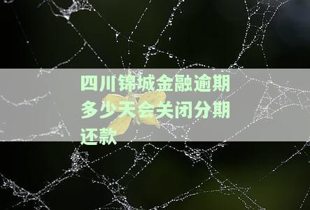 四川锦城金融：逾期多久将关闭分期还款业务？