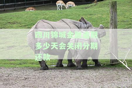 四川锦城金融逾期多少天会关闭分期还款服务，四川锦城金融：逾期多长时间将关闭分期还款服务？