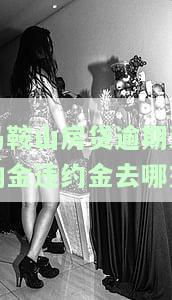 房贷滞纳金计算方法及能否减免？来源、影响与计算方式全解析