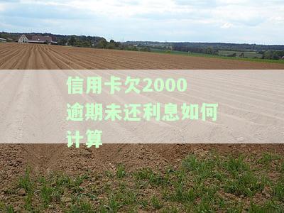 信用卡2000逾期一个月多少利息，逾期一个月，信用卡2000元需要支付多少利息？