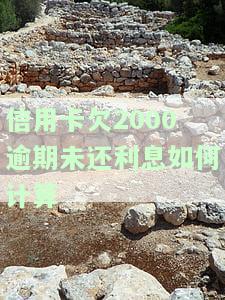 欠信用卡逾期2000多块钱，逾期2000多元！如何解决信用卡债务问题？