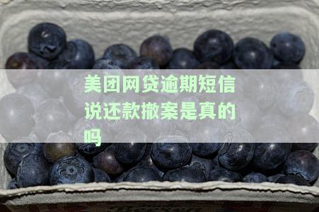 美团贷款逾期3天收短信说会发催收函，逾期三天，美团贷款发送催收函提醒