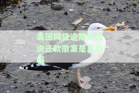 美团借款逾期短信，警告！您的美团借款已逾期，收到催款短信请注意查收