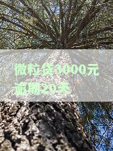 微粒贷借钱逾期304天怎么办，急需解决！微粒贷借款逾期304天，如何处理？