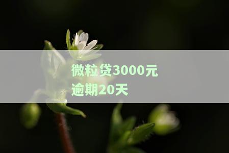 微粒贷逾期1500元35天：累计逾期近一年，金额达60000元