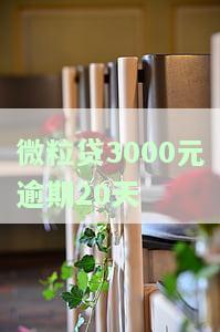 微粒贷逾期3千会被起诉吗？如何处理欠款3000及逾期74天的情况？