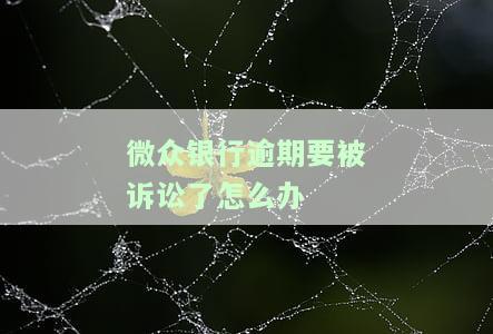 微众银行借款逾期需要承担刑事责任嘛，微众银行借款逾期是否需承担刑事责任？