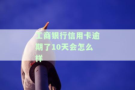 工商银行的信用卡逾期一年多了还能协商分期还款吗，工商银行信用卡逾期一年多，还有机会协商分期还款吗？