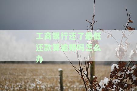 工商银行最低还款算预期吗，关于工商银行最低还款，它算不算预期呢？