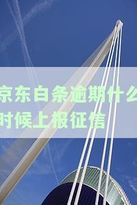 逾期多久上征信？逾期有什么后果？